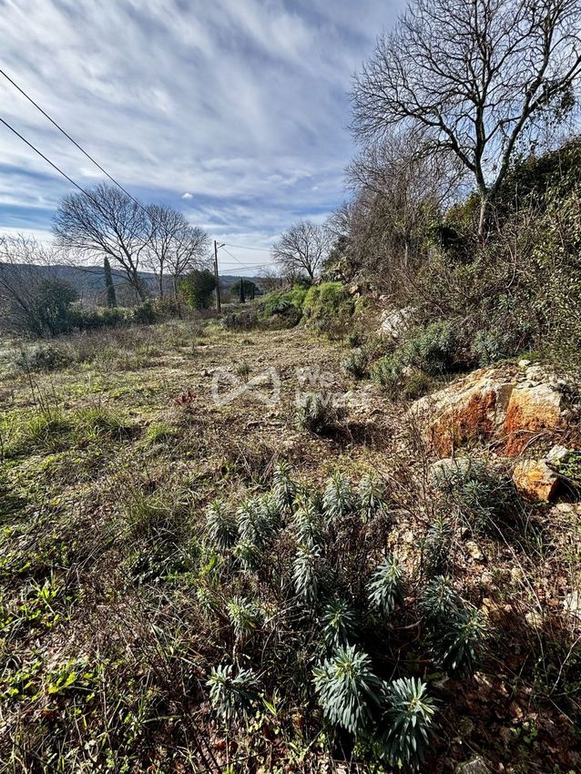 Image de terrain à Montfort-sur-Argens