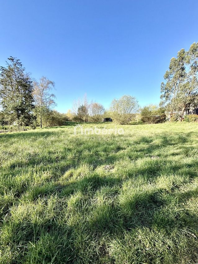 Image de terrain à Vernou-en-Sologne