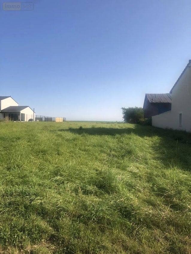 Image de terrain à Courtisols