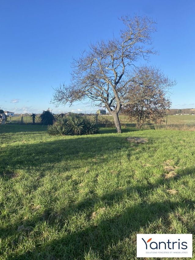 Image de terrain à Vernet