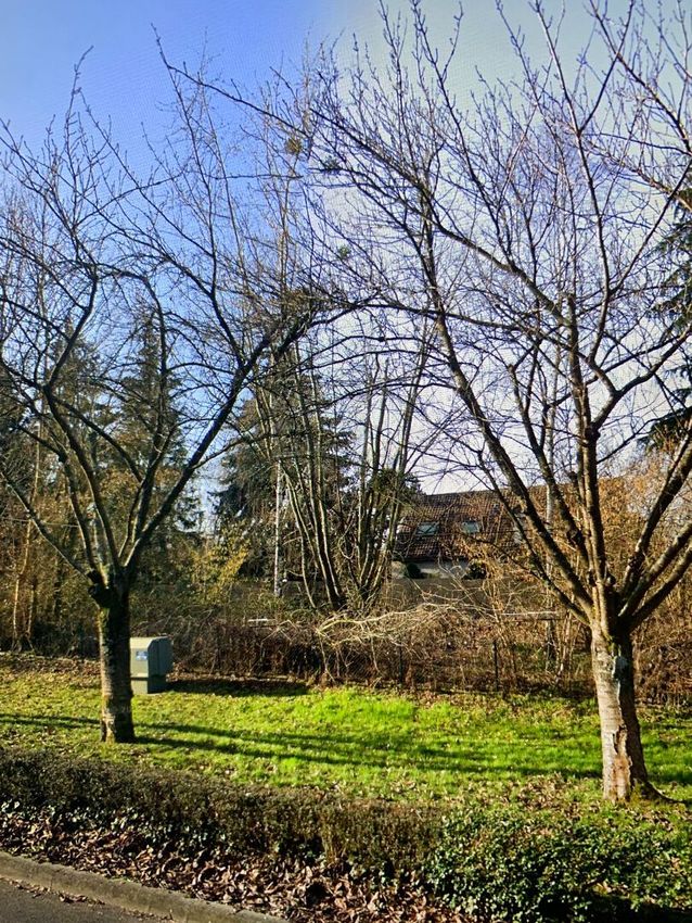 Image de terrain à Marines