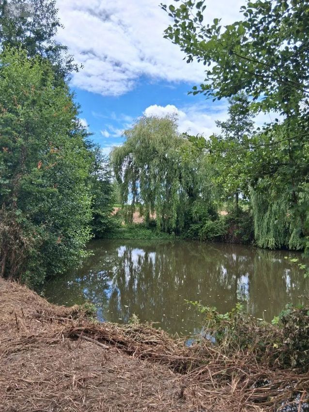 Image de terrain à Saint-Jean-de-la-Motte