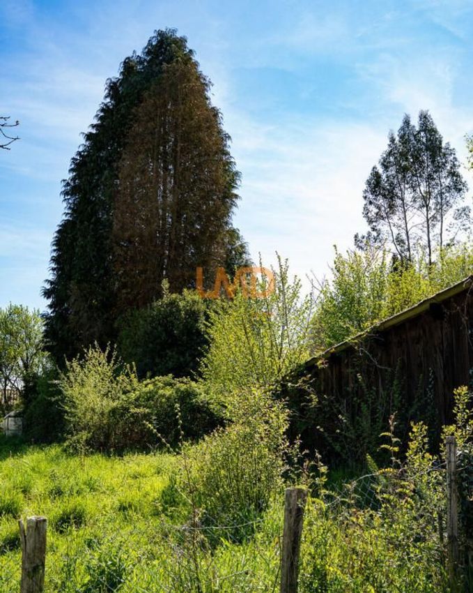 Image de terrain à Saint-Paul