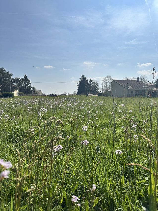Image de terrain à Lalande-de-Pomerol