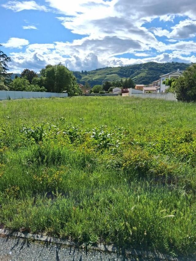 Image Vue à terrain de Tournon-sur-Rhône