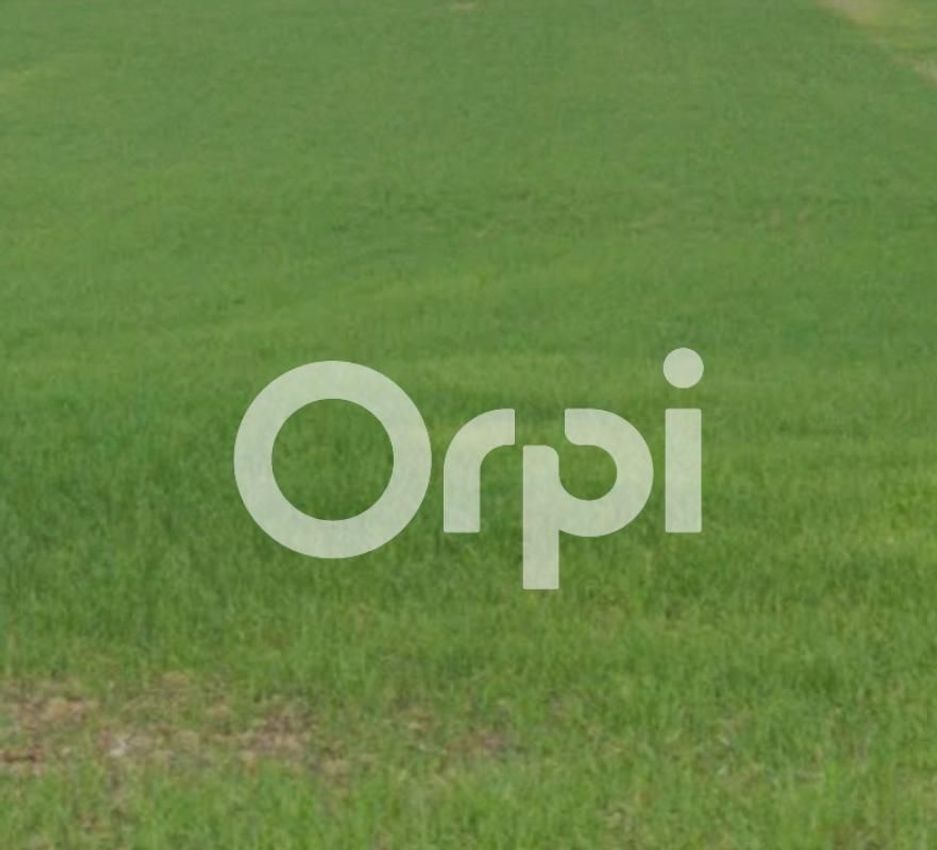 Image de terrain à Quint-Fonsegrives