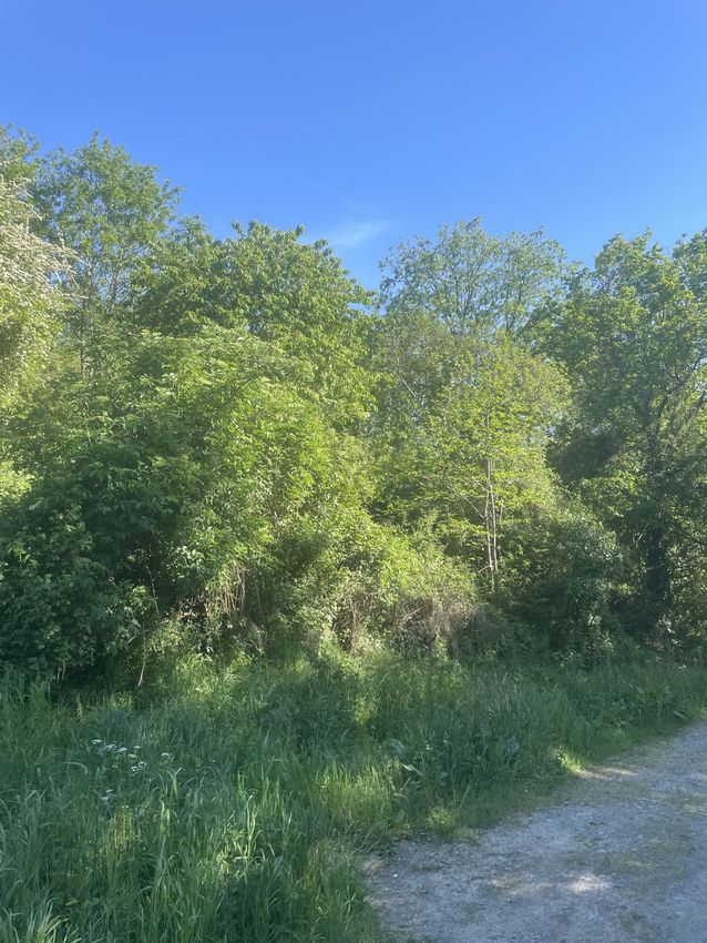Image de terrain à Chalonnes-sur-Loire