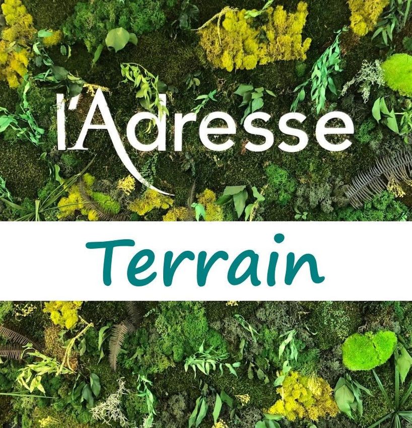 Image de terrain à Mauléon-Licharre