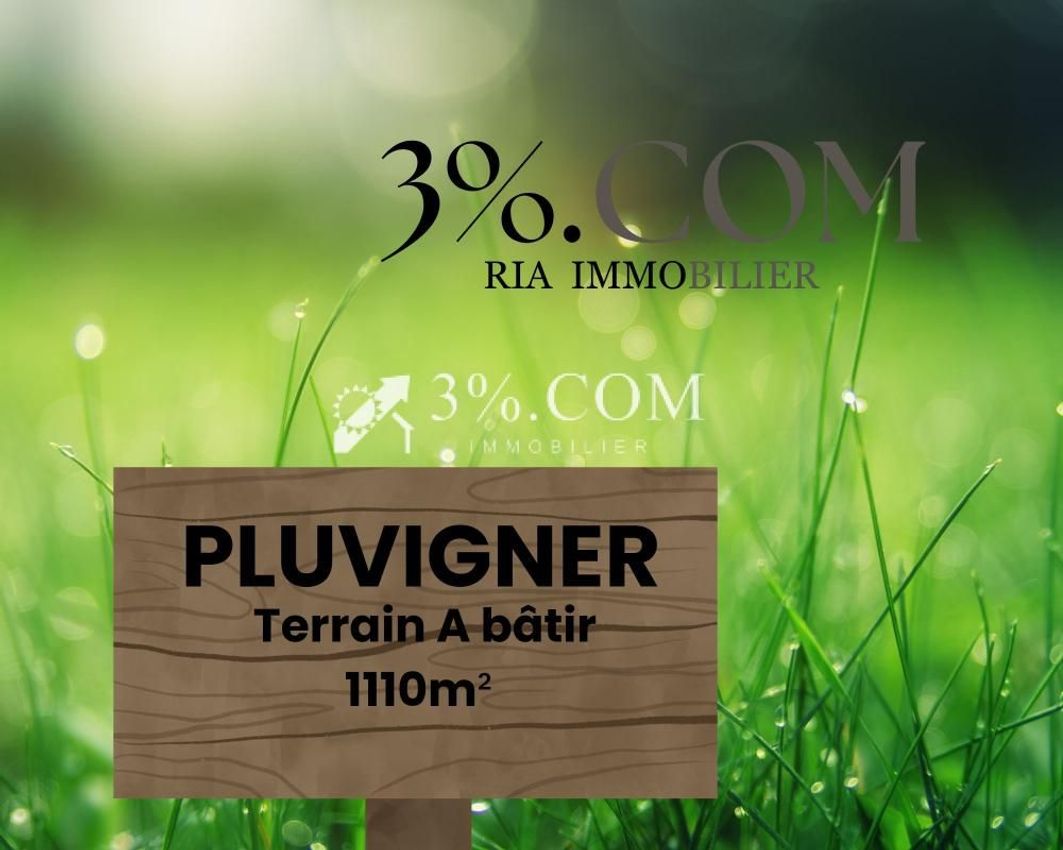 Image de terrain à Pluvigner