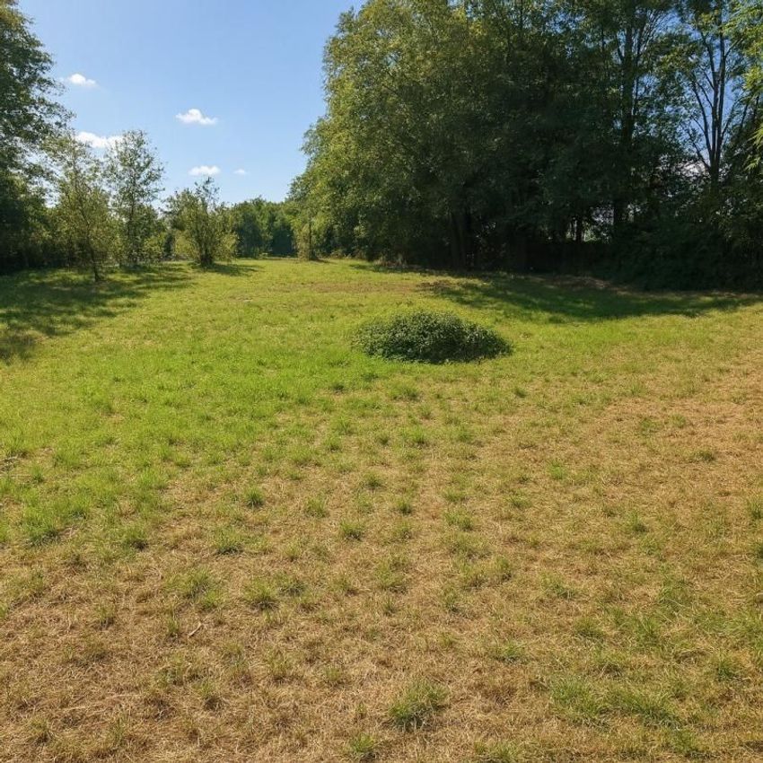 Image de terrain à Alloue