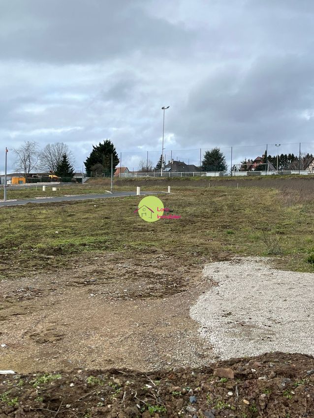 Image de terrain à Schnersheim