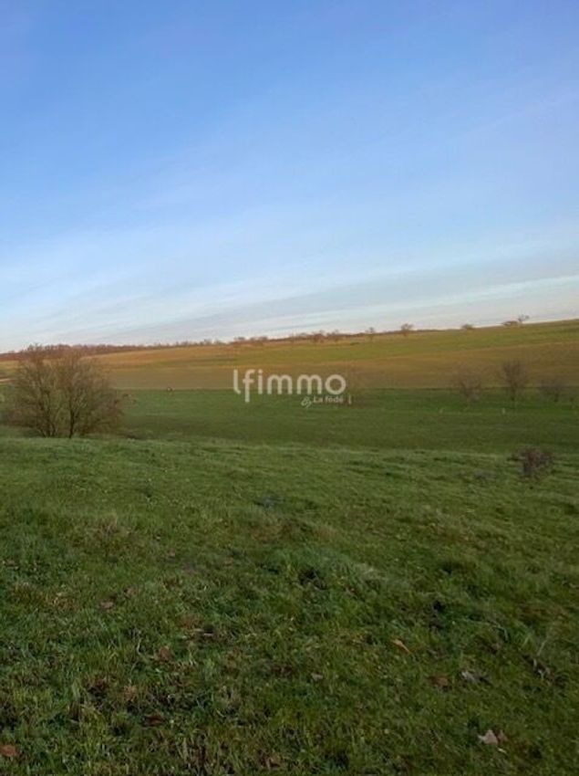 Image Vue à terrain de Wœlfling-lès-Sarreguemines