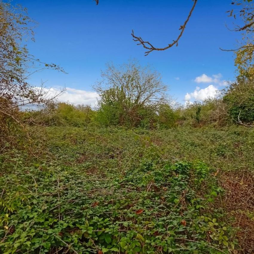 Image de terrain à Douzillac