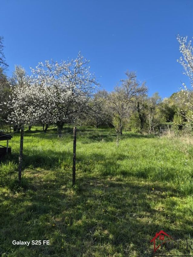 Image Jardin à  maison de village de Betoncourt-sur-Mance