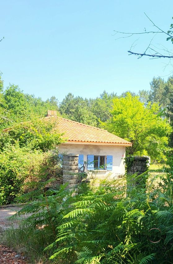 Image Façade à  maison individuelle de Sore