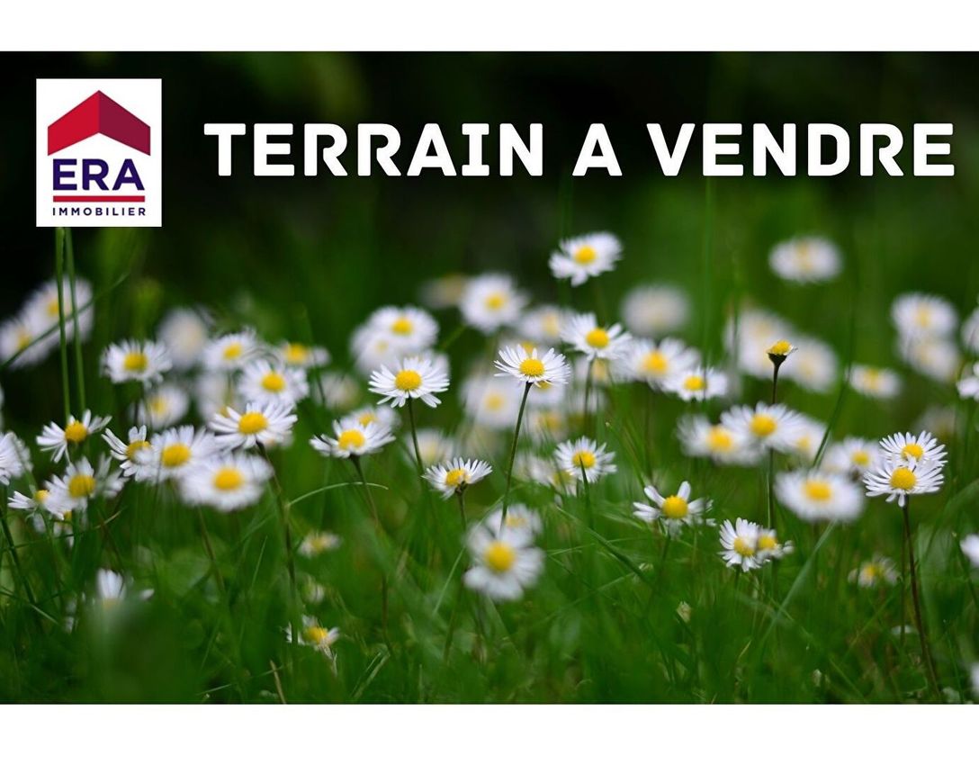 Image de terrain à Louchats
