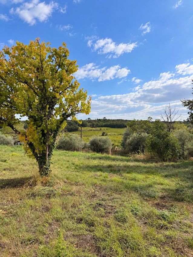Image de terrain à Saint-Césaire-de-Gauzignan