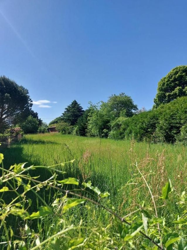 Image de terrain à Saint-Aignan