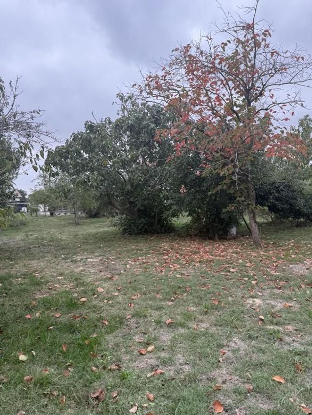 Image de terrain à Noé