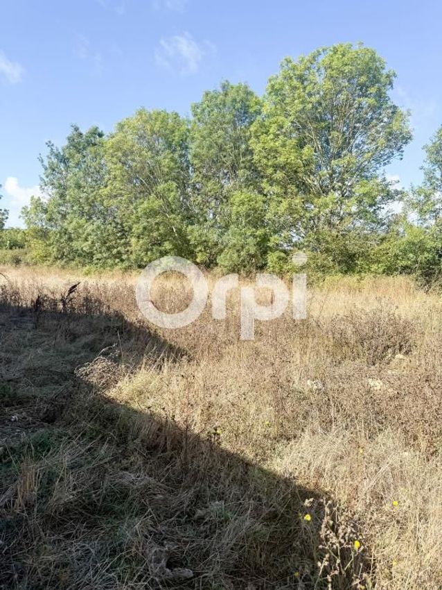 Image de terrain à Saint-Laurent-de-la-Prée