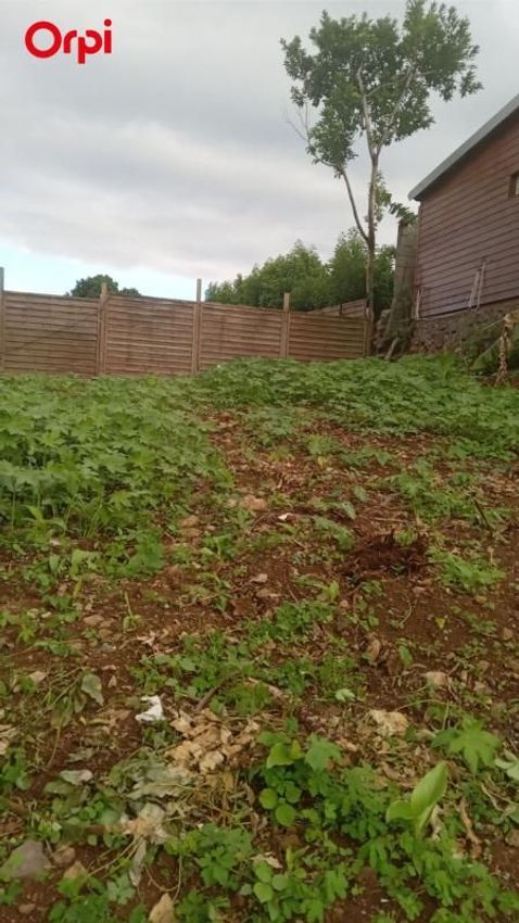 Image de terrain à Saint-Denis