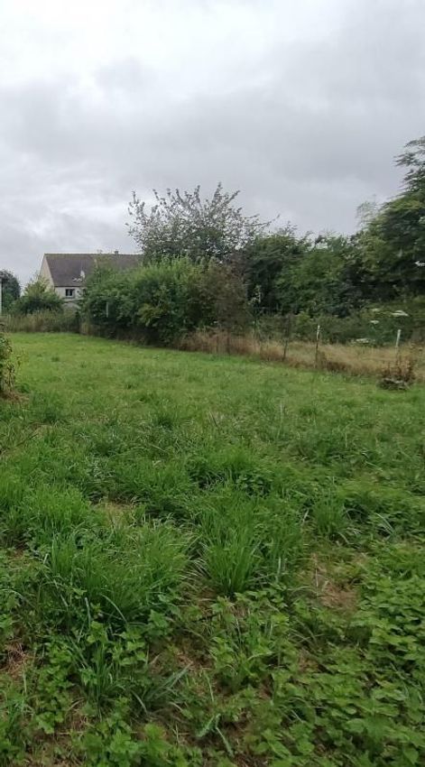 Image de terrain à Clos-Fontaine