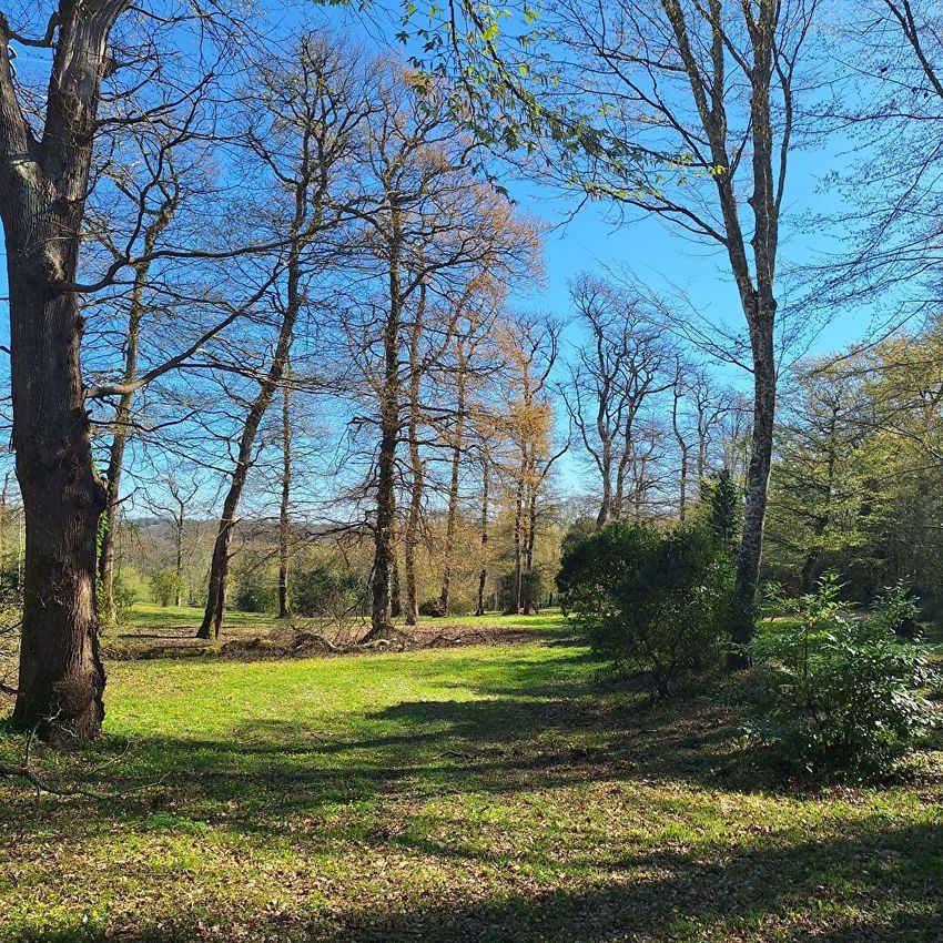 Image de terrain à Sadirac