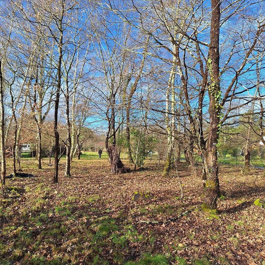 Image de terrain à Sadirac