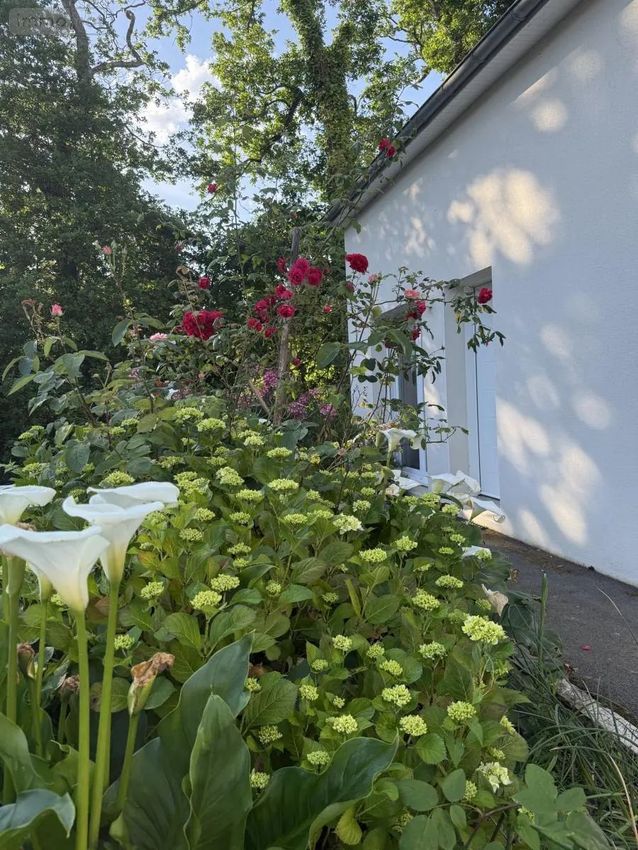 Image Jardin à  maison individuelle de Plougoumelen