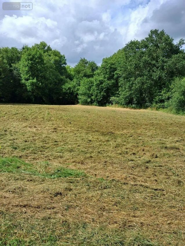 Image de terrain à Bazas