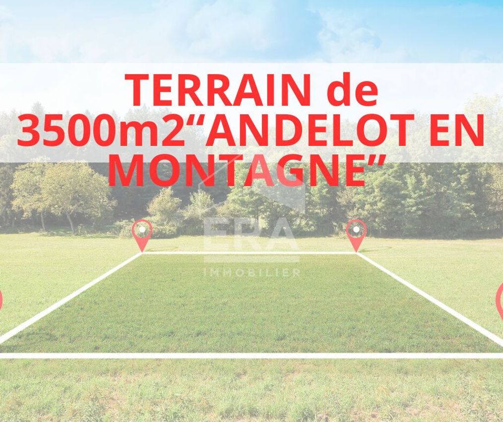 Image de terrain à Andelot-en-Montagne
