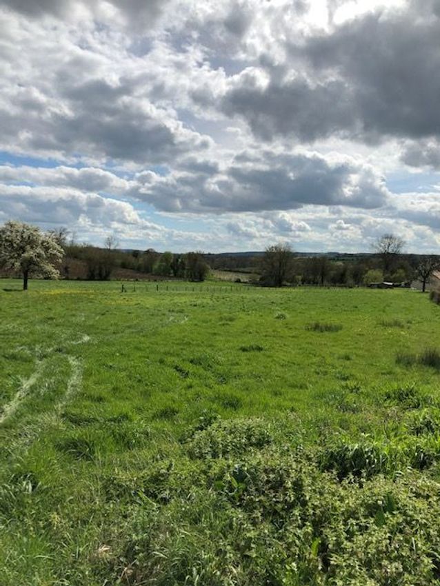 Image Vue à terrain de Gournay-en-Bray
