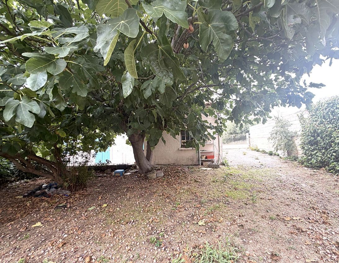 Image Jardin à  maison individuelle de Istres