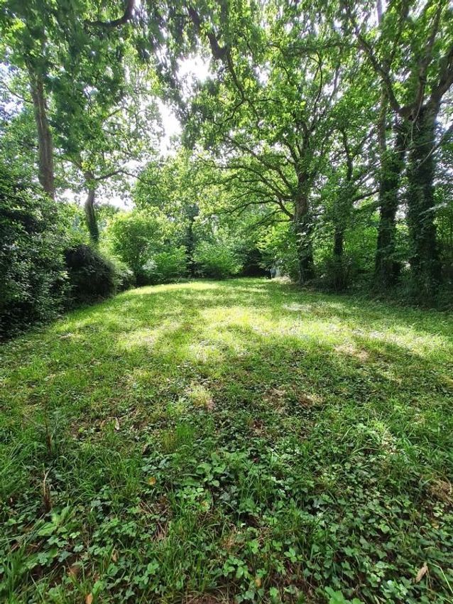 Image de terrain à Moëlan-sur-Mer