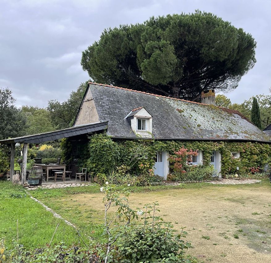 Image Jardin à  maison individuelle de Blaison-Saint-Sulpice