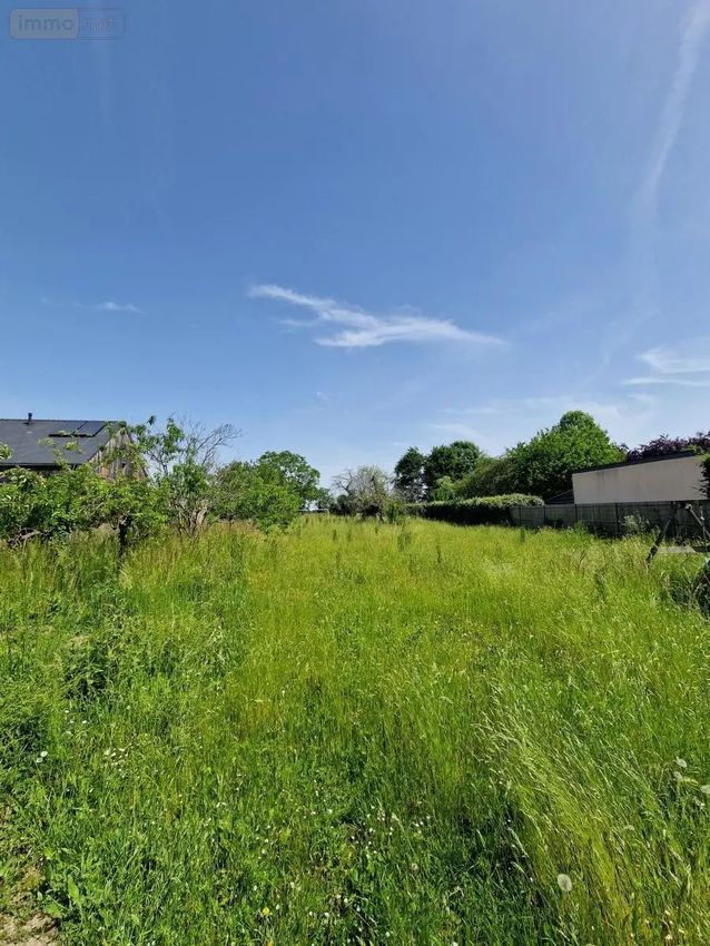 Image de terrain à Loire-Authion