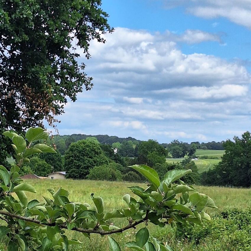 Image de terrain à Lignan-de-Bordeaux