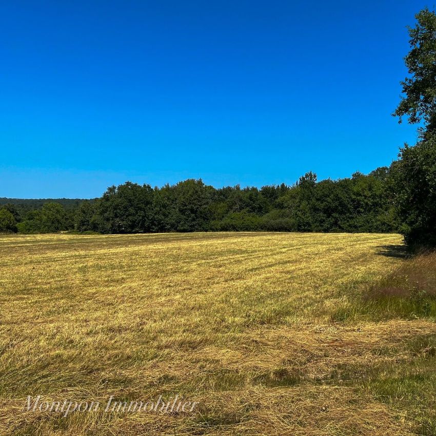 Image de terrain à Saint-Rémy