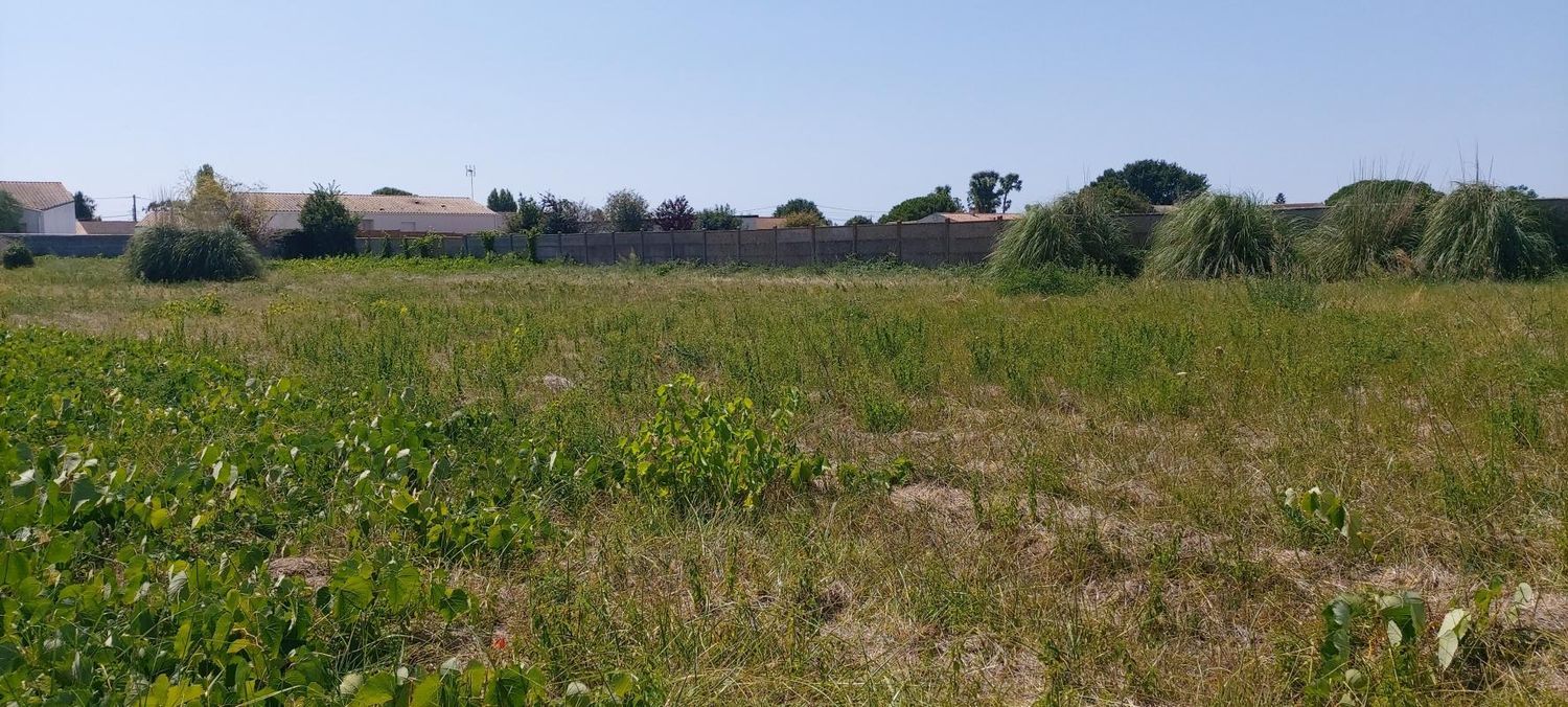 Image de terrain à Bourcefranc-le-Chapus