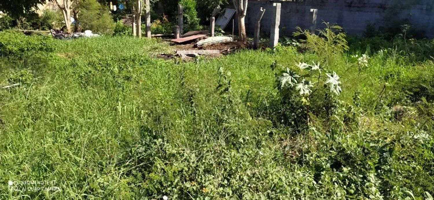 Image de terrain à Rivière-Salée