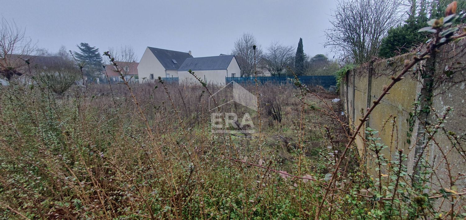 Image de terrain à Saint-Denis-en-Val
