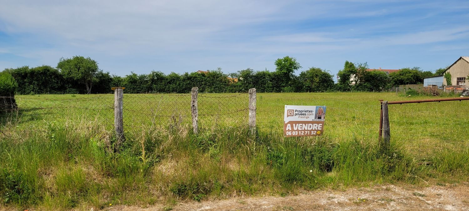 Image de terrain à Épuisay