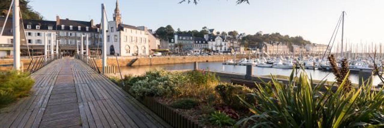 Image Vue à terrain de Binic-Étables-sur-Mer