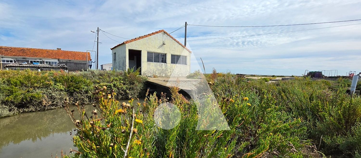 Image de terrain à Étaules