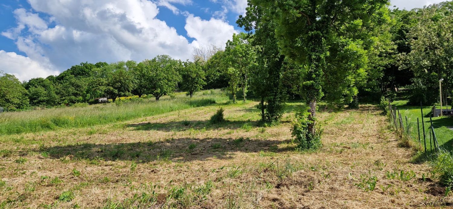 Image de terrain à Saint-Georges-sur-Allier
