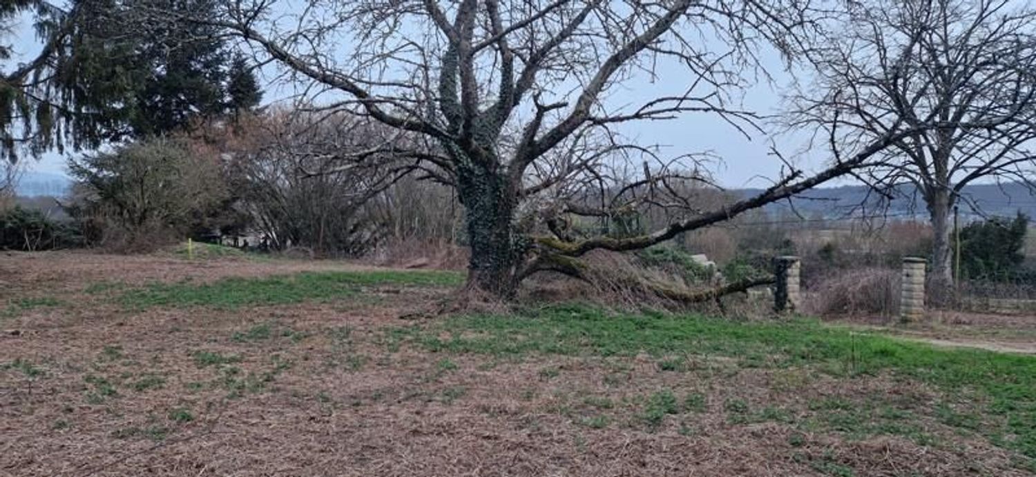 Image de terrain à Vézeronce-Curtin