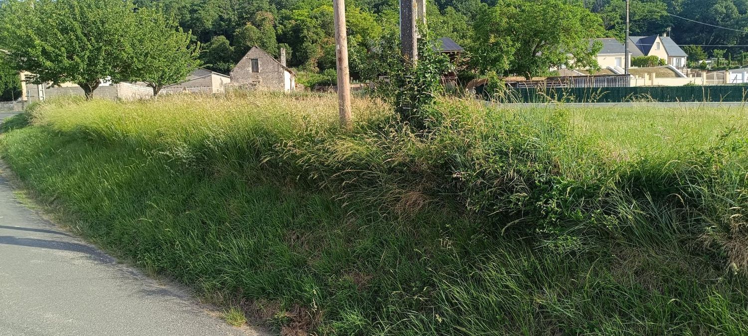 Image de terrain à Cravant-les-Côteaux