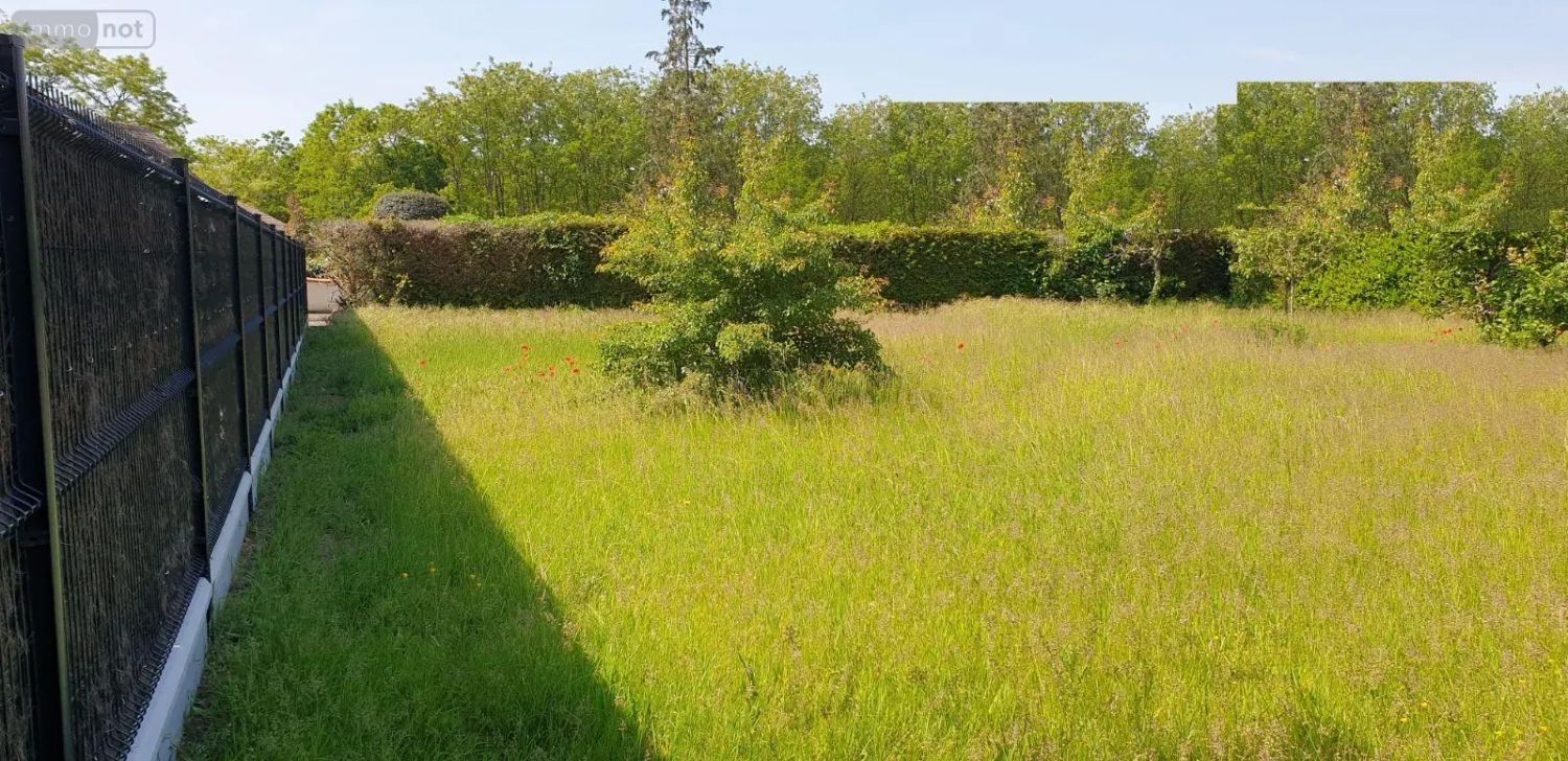 Image de terrain à Moncé-en-Belin