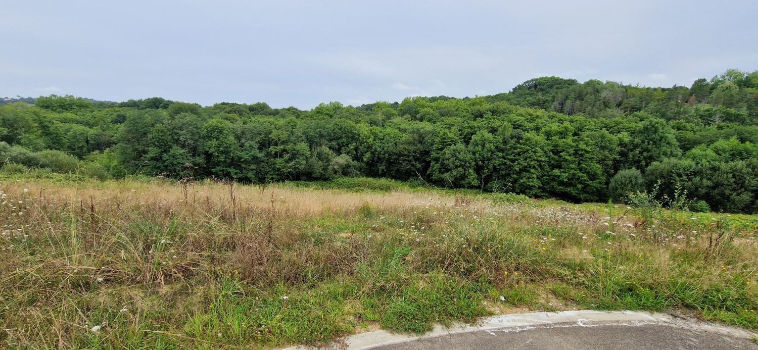 Image de terrain à Mouguerre