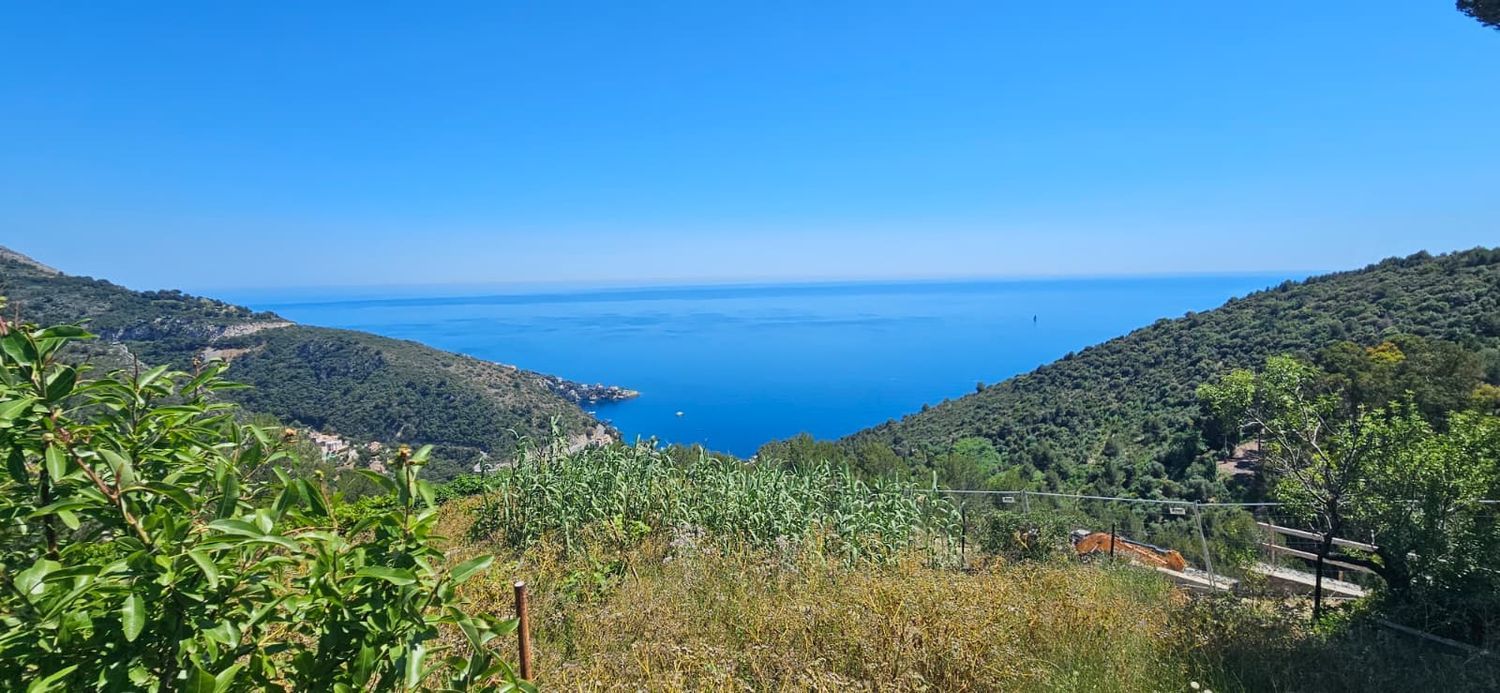 Image Vue à terrain de Èze